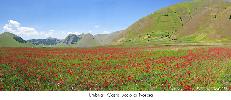 Panoramica Castelluccio 2.jpg